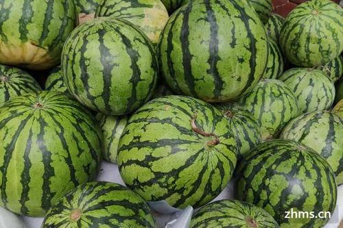 吃瓜网免费吃瓜黑